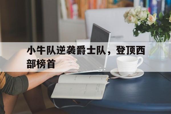 小牛队逆袭爵士队，登顶西部榜首